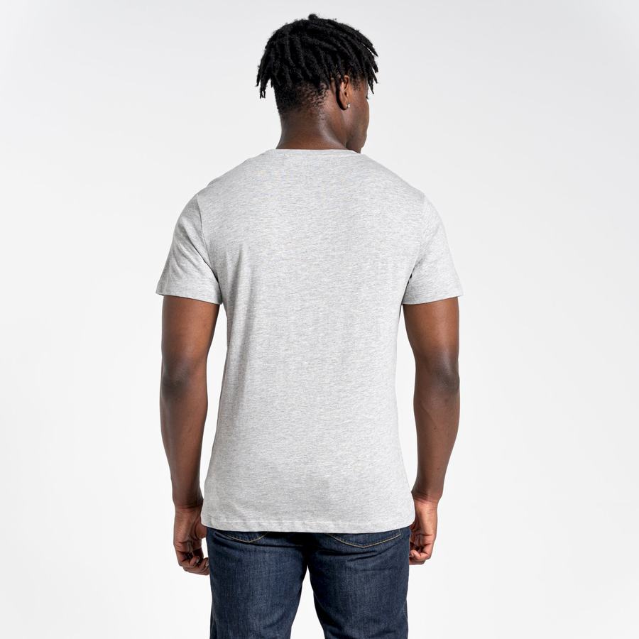 Grey Craghoppers Lugo Short Sleeved Men's T-Shirts | DXL7647RV