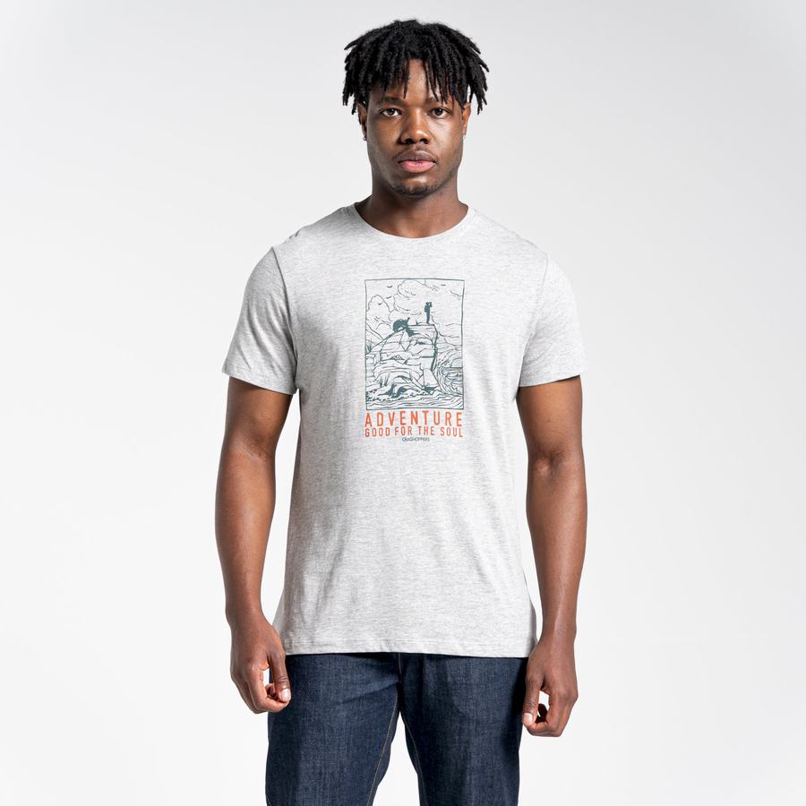 Grey Craghoppers Lugo Short Sleeved Men's T-Shirts | VBG4920QD