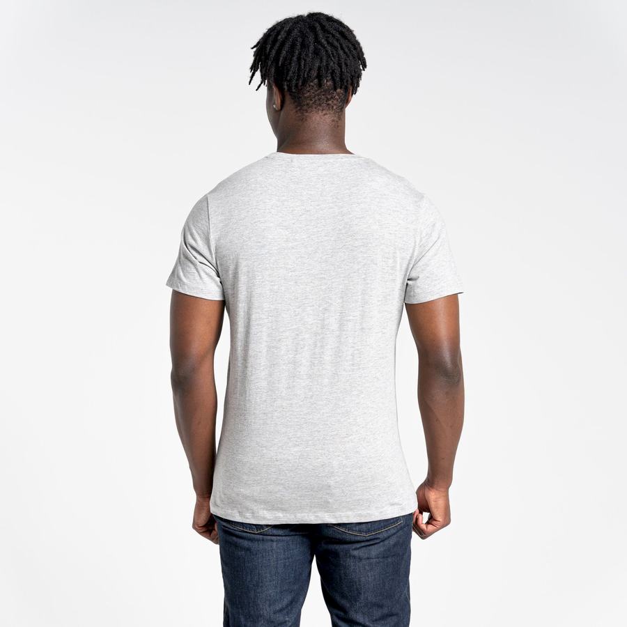 Grey Craghoppers Lugo Short Sleeved Men's T-Shirts | VBG4920QD