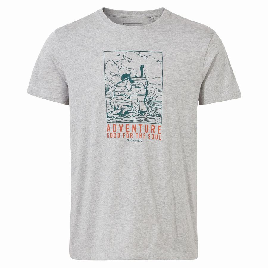 Grey Craghoppers Lugo Short Sleeved Men's T-Shirts | VBG4920QD