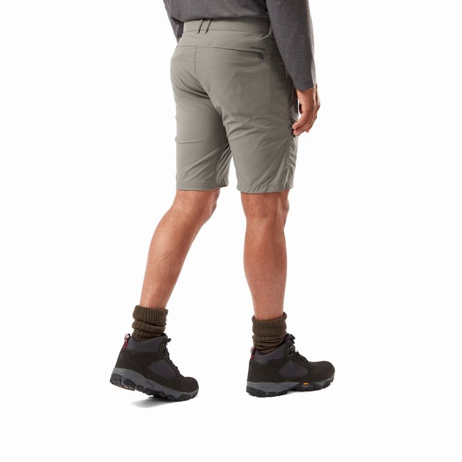 Grey Craghoppers NosiLife Pro Active Men's Shorts | SXX10020QW