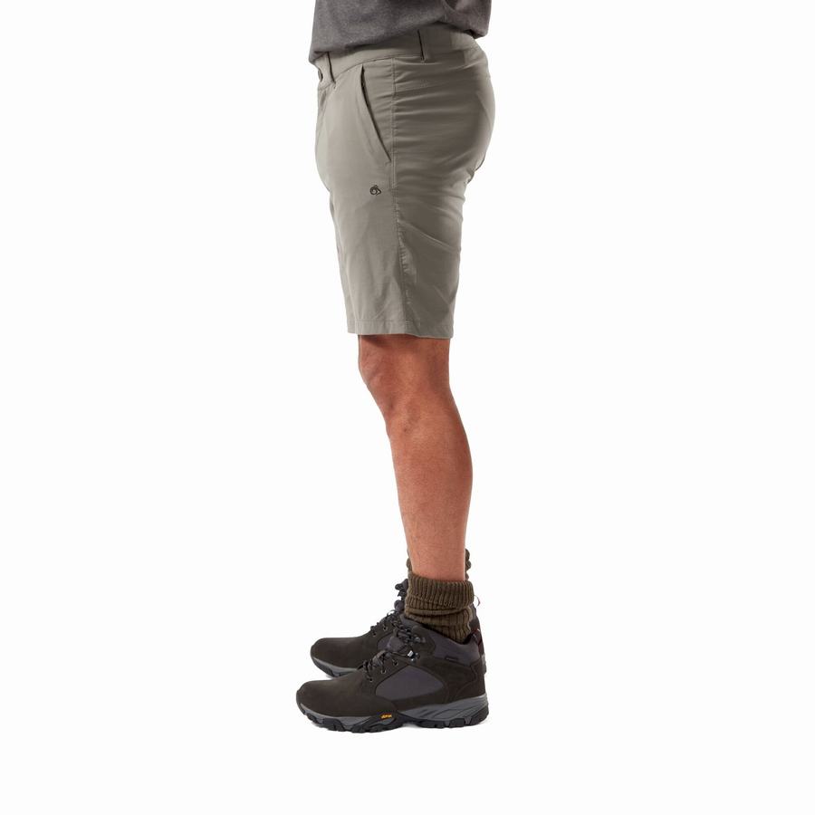 Grey Craghoppers NosiLife Pro Active Men's Shorts | SXX10020QW