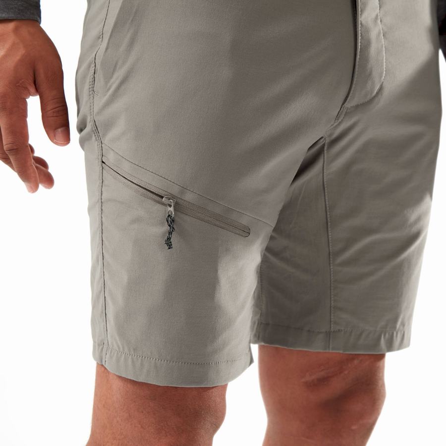 Grey Craghoppers NosiLife Pro Active Men's Shorts | SXX10020QW