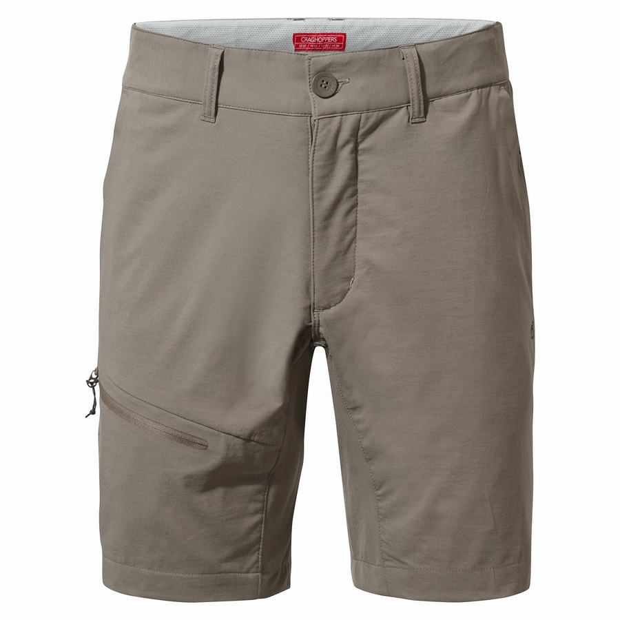 Grey Craghoppers NosiLife Pro Active Men's Shorts | SXX10020QW