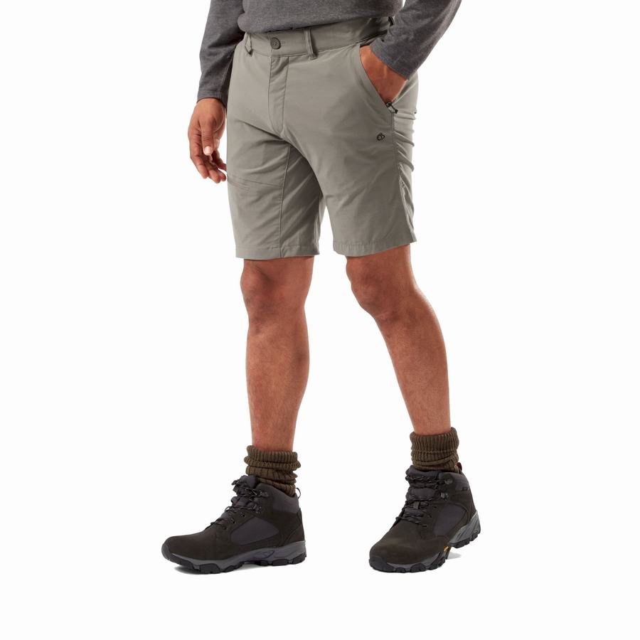 Grey Craghoppers NosiLife Pro Active Men's Shorts | SXX10020QW