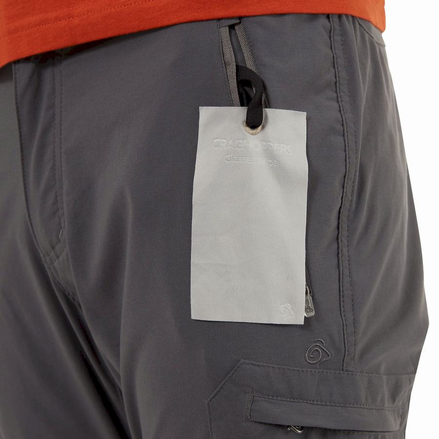 Grey Craghoppers NosiLife Pro II Men's Trousers | GHH6691MF