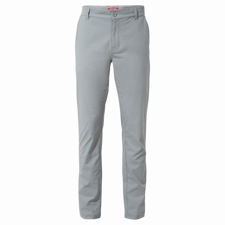 Grey Craghoppers NosiLife Santos Men's Trousers | MZD238YW