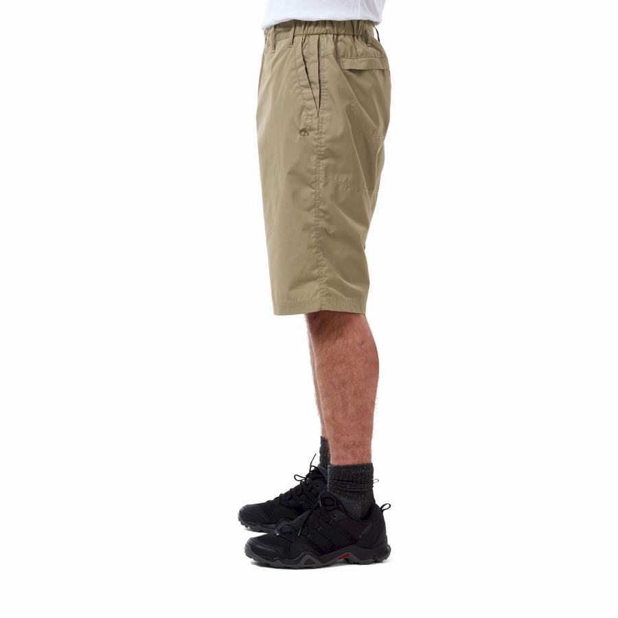 Khaki Craghoppers Kiwi Long Men's Shorts | EGB5063GM