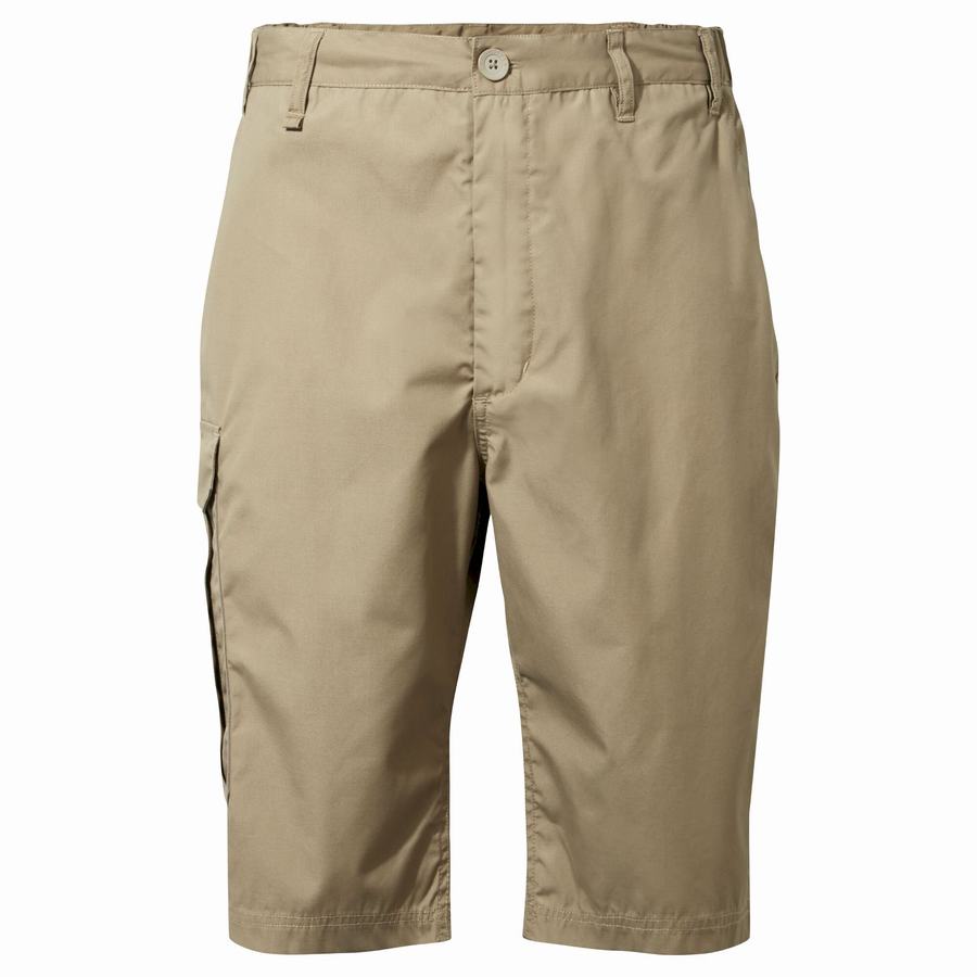 Khaki Craghoppers Kiwi Long Men's Shorts | EGB5063GM