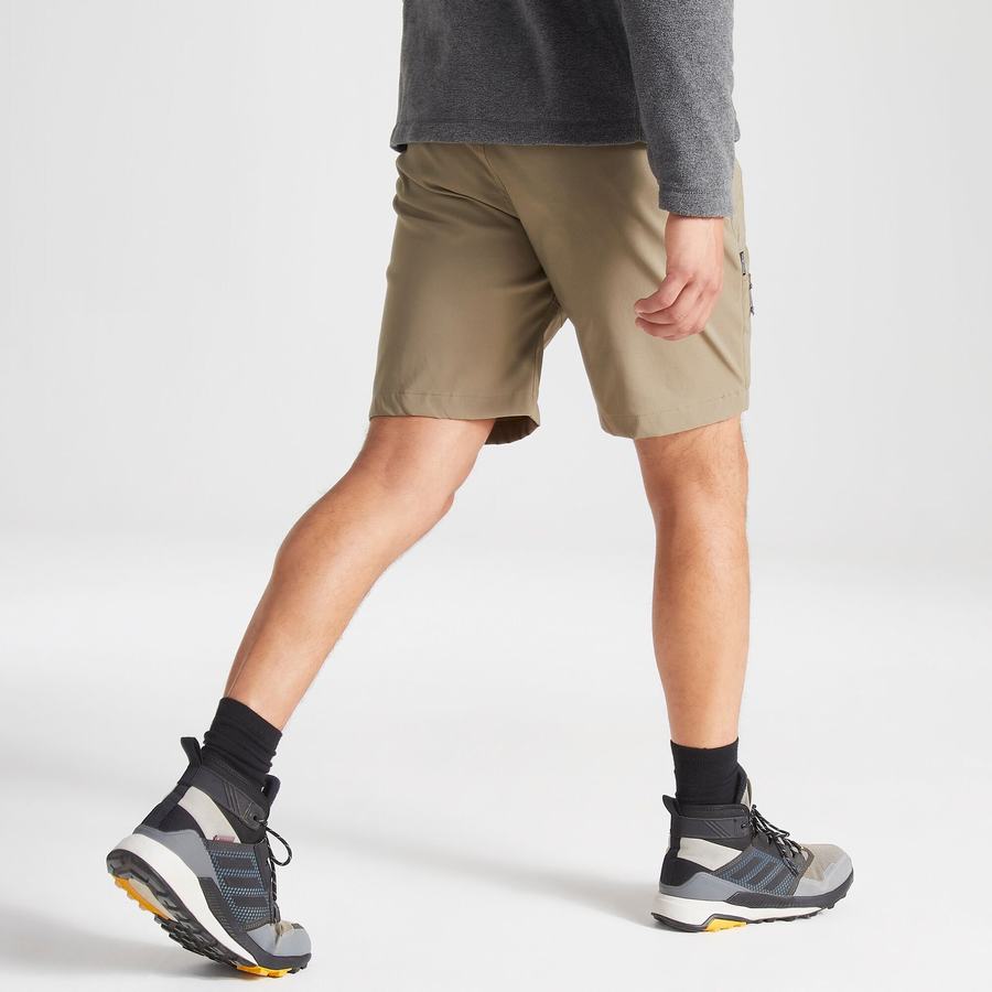 Khaki Craghoppers Kiwi Pro Men's Shorts | CSS5117SF