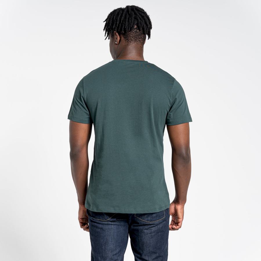 Light Green Craghoppers Lugo Short Sleeved Men's T-Shirts | DWT7127LN