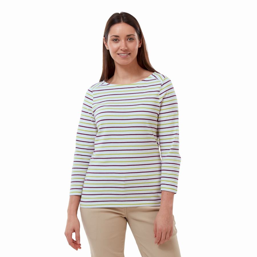 Light Green Stripes Craghoppers Blanca 3/4 Sleeved Top Women's T-Shirts | QTG812DQ