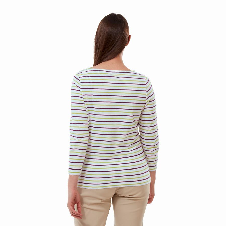 Light Green Stripes Craghoppers Blanca 3/4 Sleeved Top Women's T-Shirts | QTG812DQ