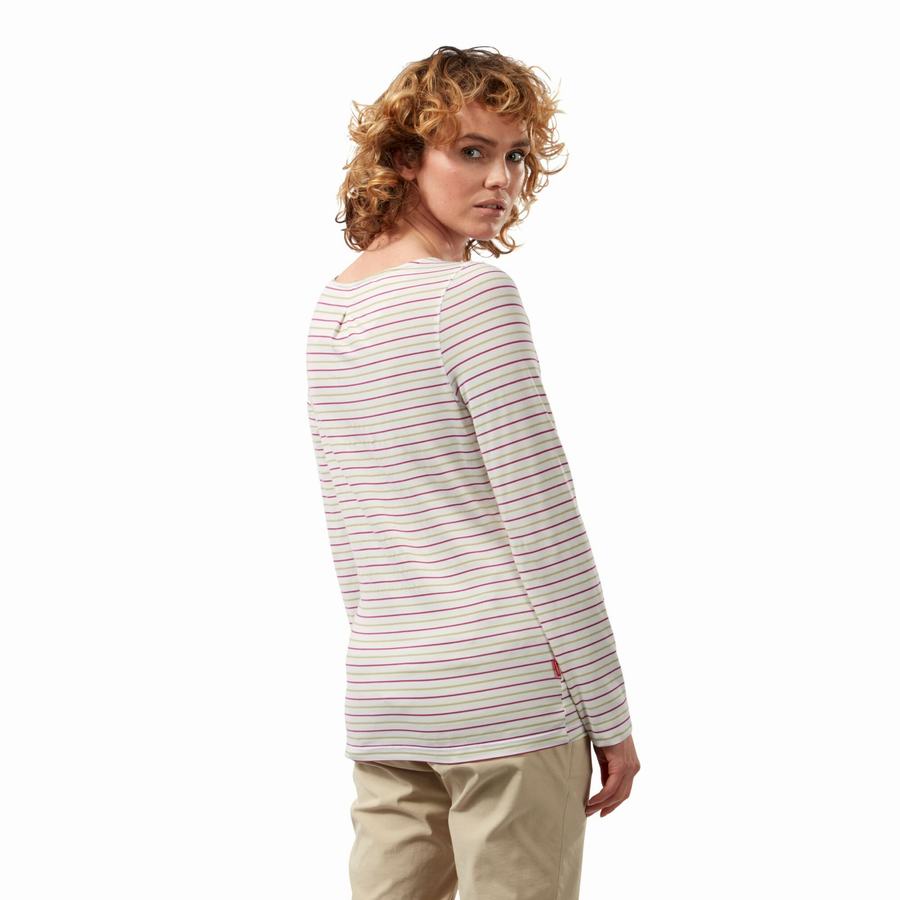 Light Green Stripes Craghoppers NosiLife Erin Long Sleeved Women's T-Shirts | DUQ4020UL