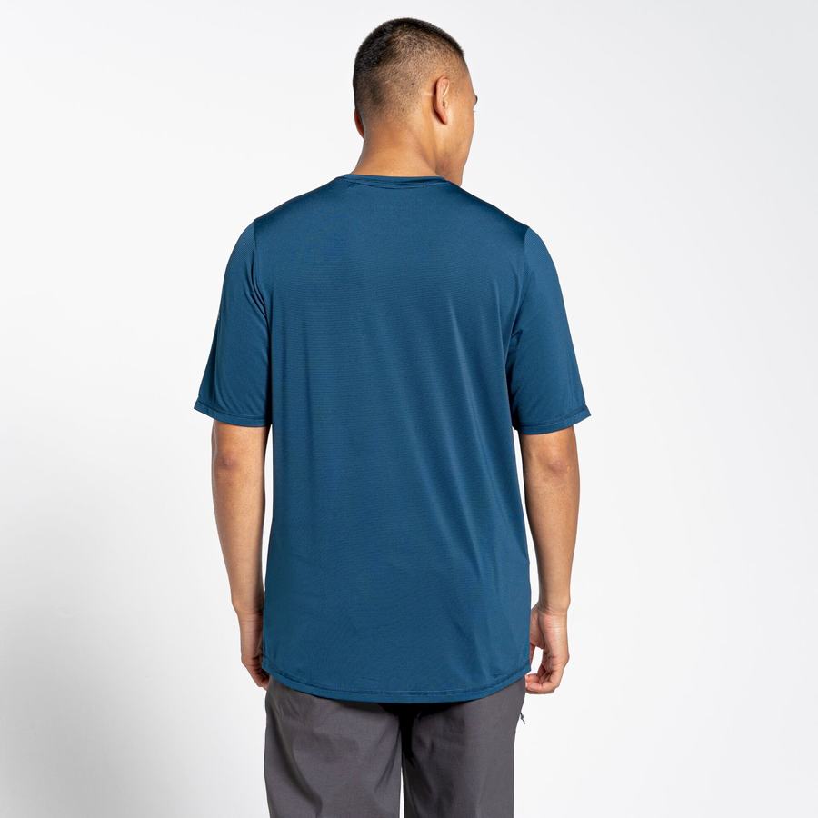 Navy Blue Craghoppers Belardo Short Sleeved Men's T-Shirts | TFG1957VU