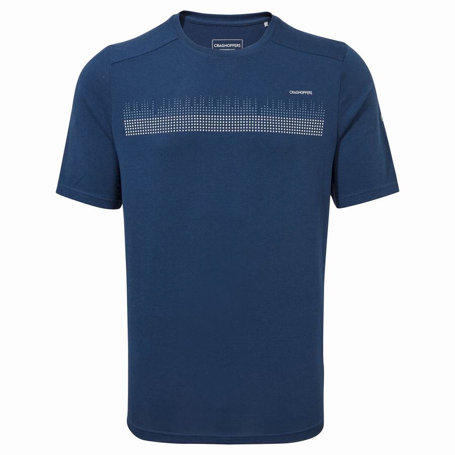 Navy Blue Craghoppers Dynamic Short Sleeved Poseidon Men's T-Shirts | UYH9182QZ