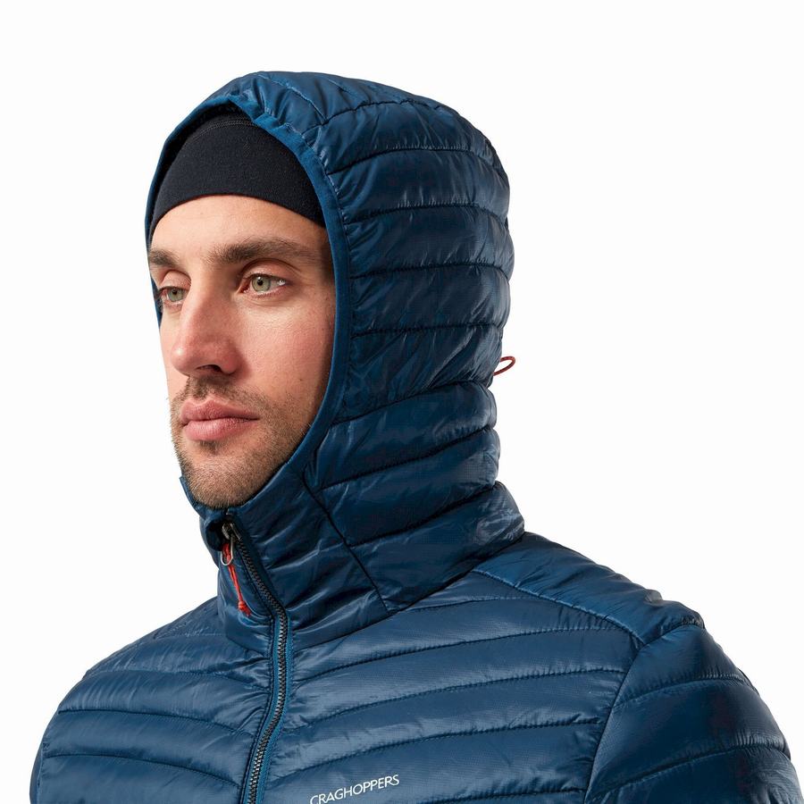 Navy Blue Craghoppers Insulated ExpoLite Hooded Men's Jackets | RZN743ZV