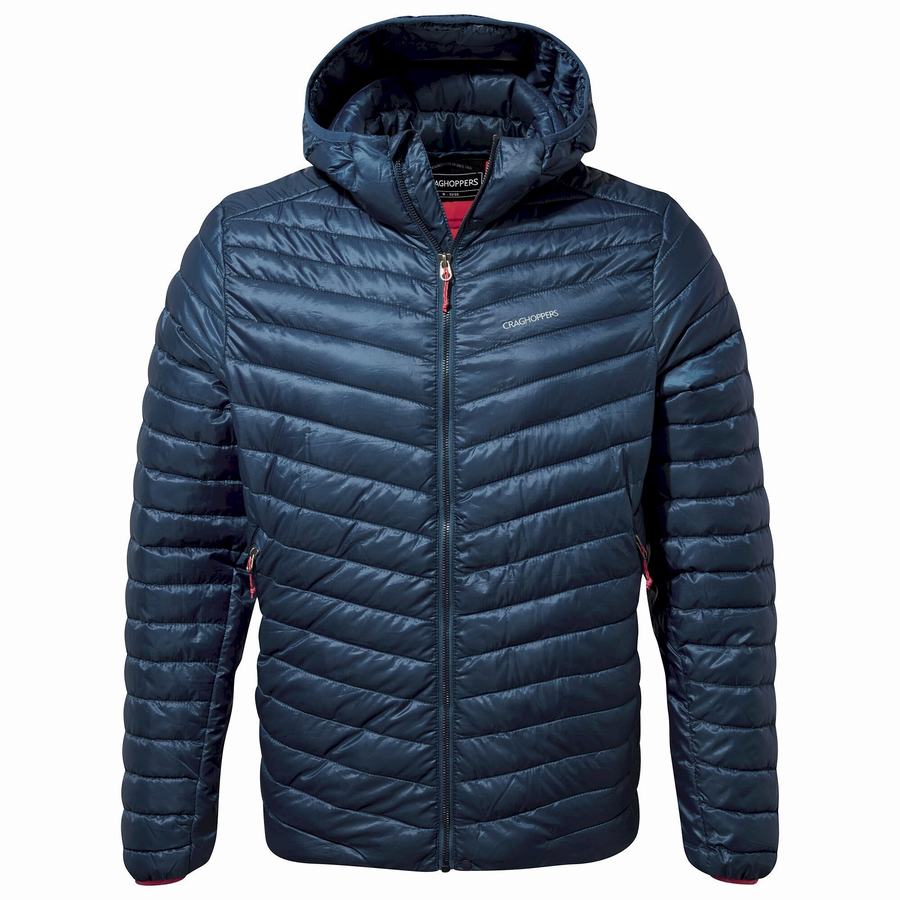 Navy Blue Craghoppers Insulated ExpoLite Hooded Men\'s Jackets | RZN743ZV