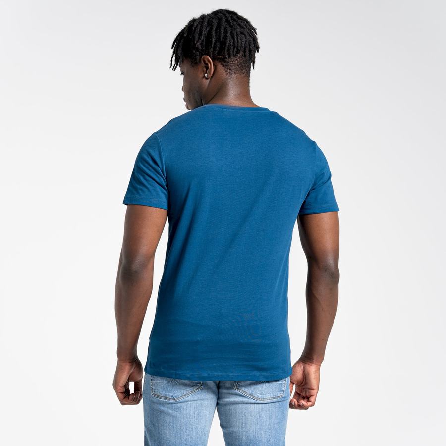 Navy Blue Craghoppers Lugo Short Sleeved Men's T-Shirts | AOT2396UV