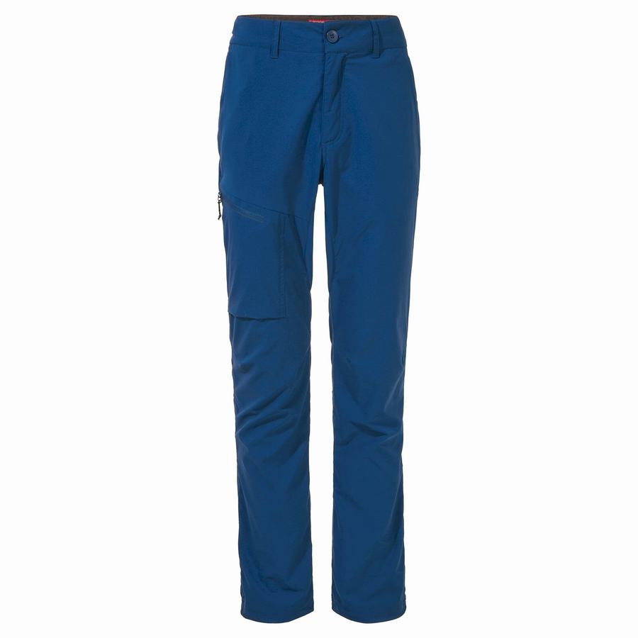 Navy Blue Craghoppers NosiLife Pro Active Men's Trousers | GNF9263GD