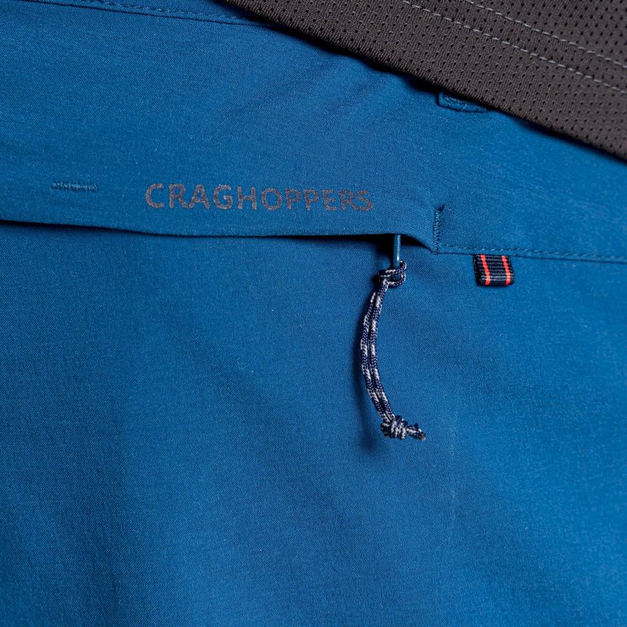 Navy Blue Craghoppers NosiLife Pro Active Men's Trousers | GNF9263GD