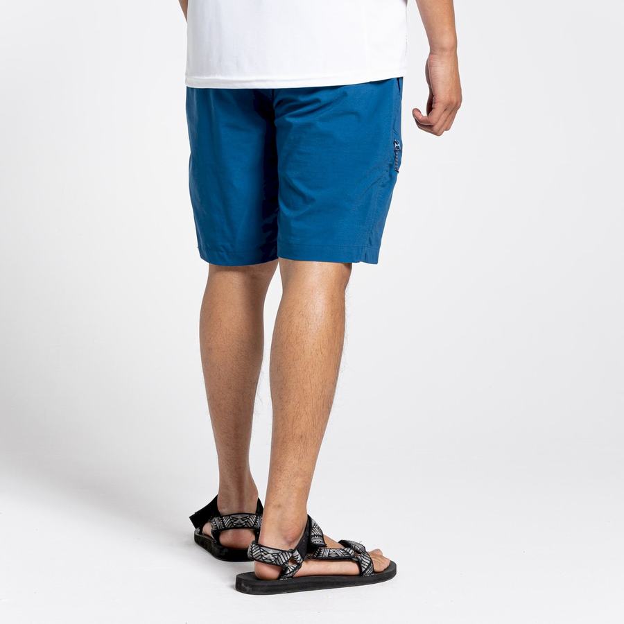 Navy Blue Craghoppers NosiLife Pro Active Men's Shorts | VNX3474NU