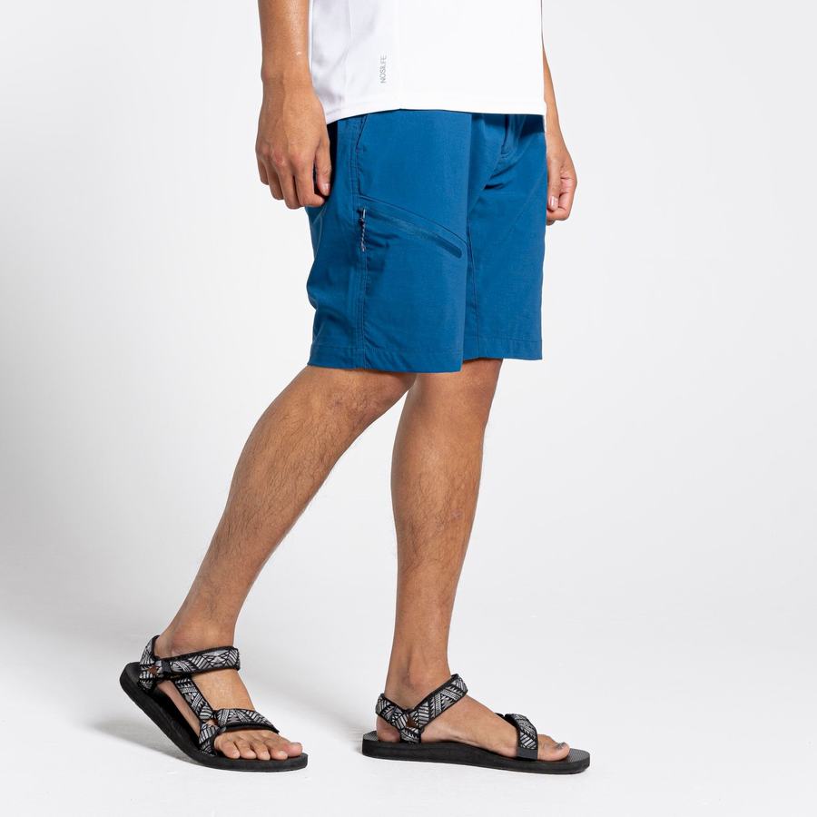 Navy Blue Craghoppers NosiLife Pro Active Men's Shorts | VNX3474NU