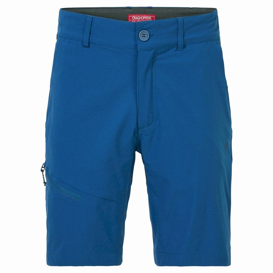 Navy Blue Craghoppers NosiLife Pro Active Men's Shorts | VNX3474NU