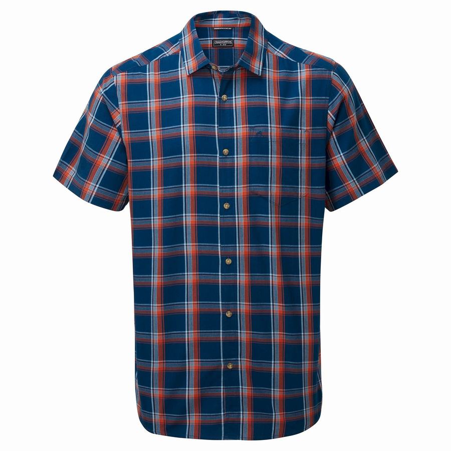 Navy Blue Craghoppers Rafie Short Sleeved Check Men's Shirts | DZO2875ZW