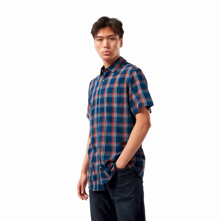 Navy Blue Craghoppers Rafie Short Sleeved Check Men's Shirts | DZO2875ZW