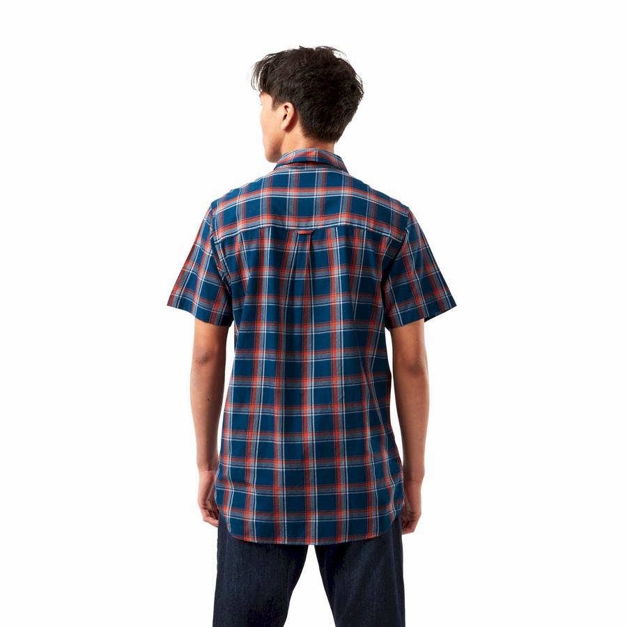 Navy Blue Craghoppers Rafie Short Sleeved Check Men's Shirts | DZO2875ZW