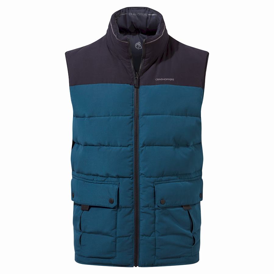 Navy Blue Craghoppers Trillick Downlike Men\'s Gilets | CWM3137NY