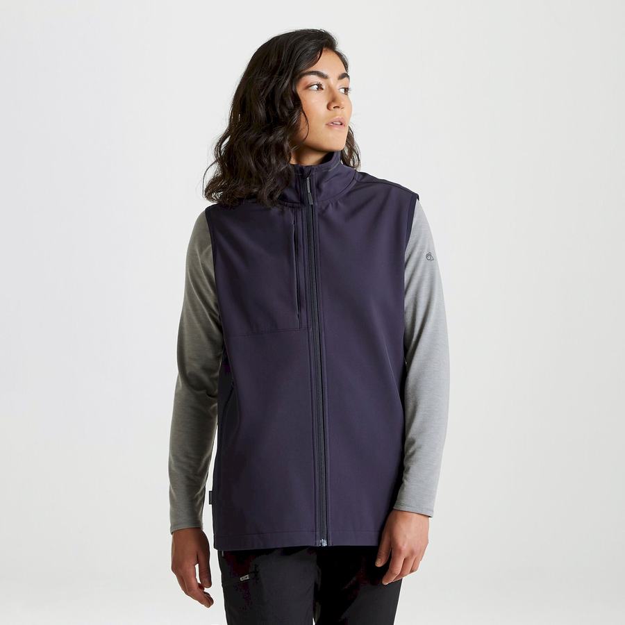 Navy Craghoppers Expert Basecamp Softshell Vest Men's Gilets | XXI9398ID