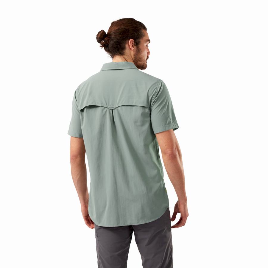 Olive Craghoppers NosiLife Adventure II Short Sleeved Men's Shirts | RFA1867LM