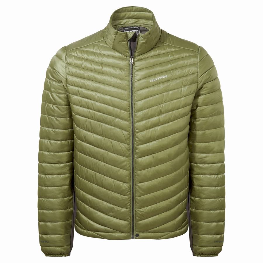 Olive Green Craghoppers ExpoLite Insulated Men's Jackets | RXI4149DK