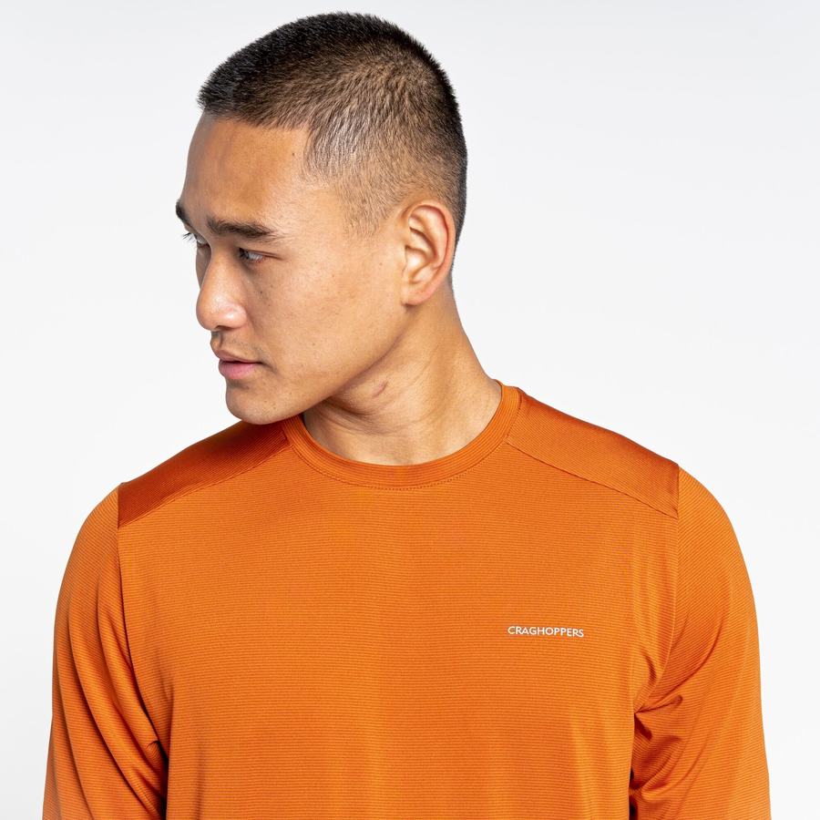 Orange Craghoppers Belardo Short Sleeved Men's T-Shirts | LSP405MY