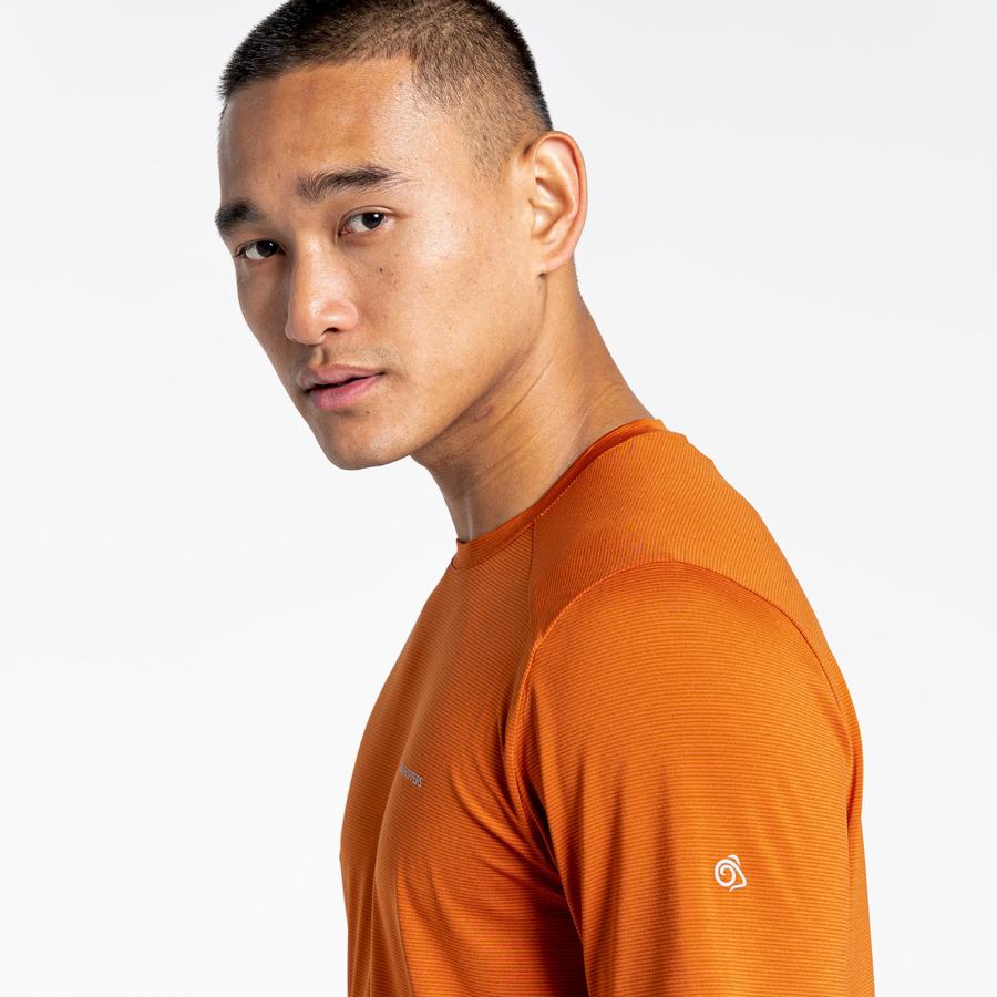 Orange Craghoppers Belardo Short Sleeved Men's T-Shirts | LSP405MY