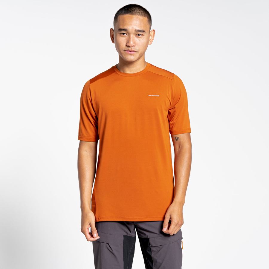 Orange Craghoppers Belardo Short Sleeved Men's T-Shirts | LSP405MY