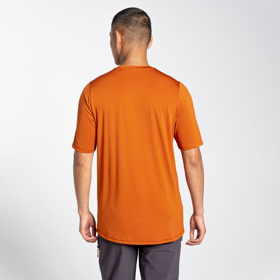 Orange Craghoppers Belardo Short Sleeved Men's T-Shirts | LSP405MY