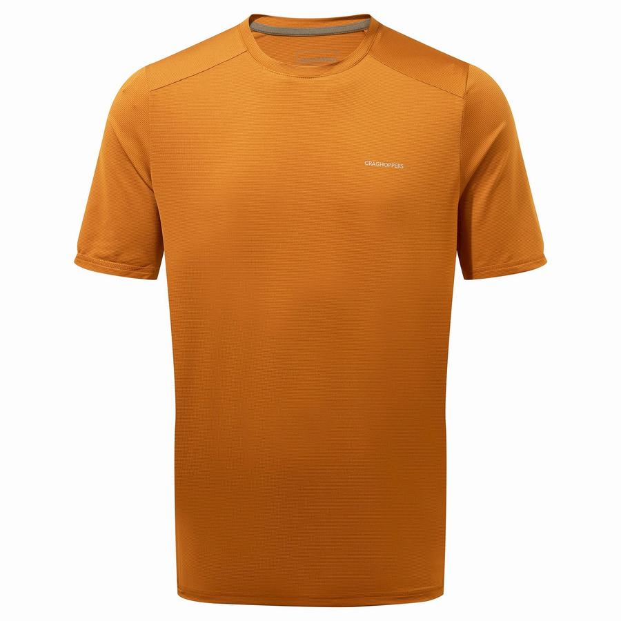 Orange Craghoppers Belardo Short Sleeved Men\'s T-Shirts | LSP405MY