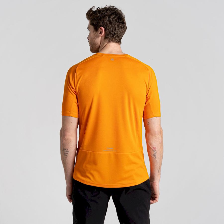 Orange Craghoppers Dynamic Pro Short Sleeved Men's T-Shirts | ZJK617BX