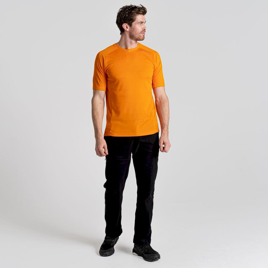 Orange Craghoppers Dynamic Pro Short Sleeved Men's T-Shirts | ZJK617BX