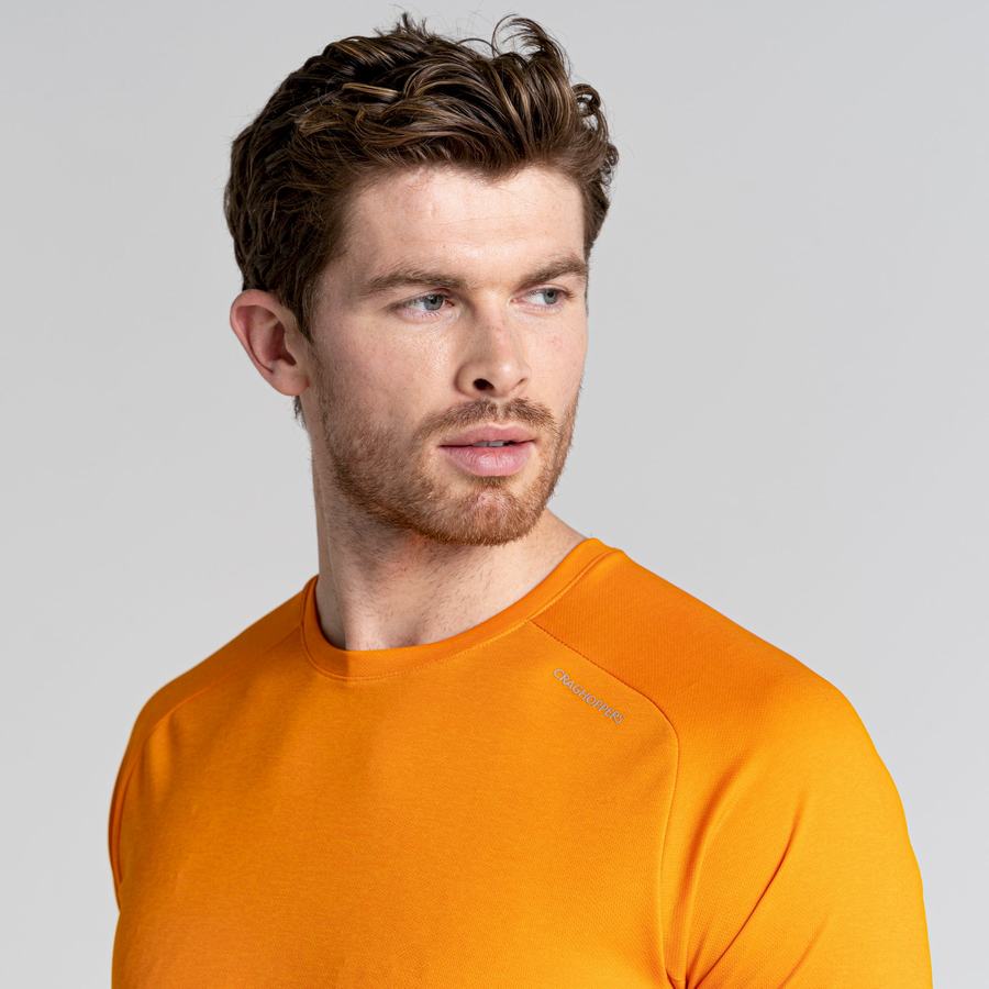 Orange Craghoppers Dynamic Pro Short Sleeved Men's T-Shirts | ZJK617BX