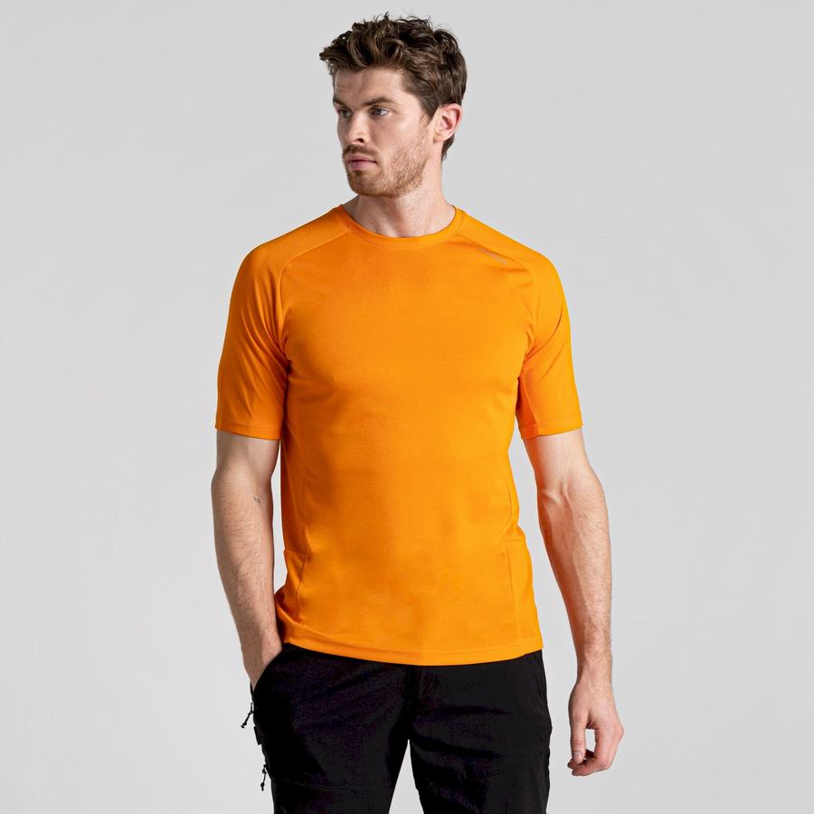 Orange Craghoppers Dynamic Pro Short Sleeved Men's T-Shirts | ZJK617BX