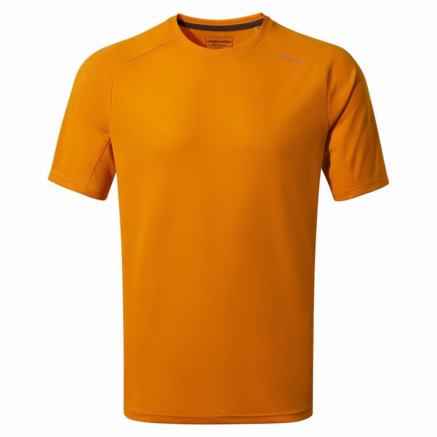 Orange Craghoppers Dynamic Pro Short Sleeved Men\'s T-Shirts | ZJK617BX