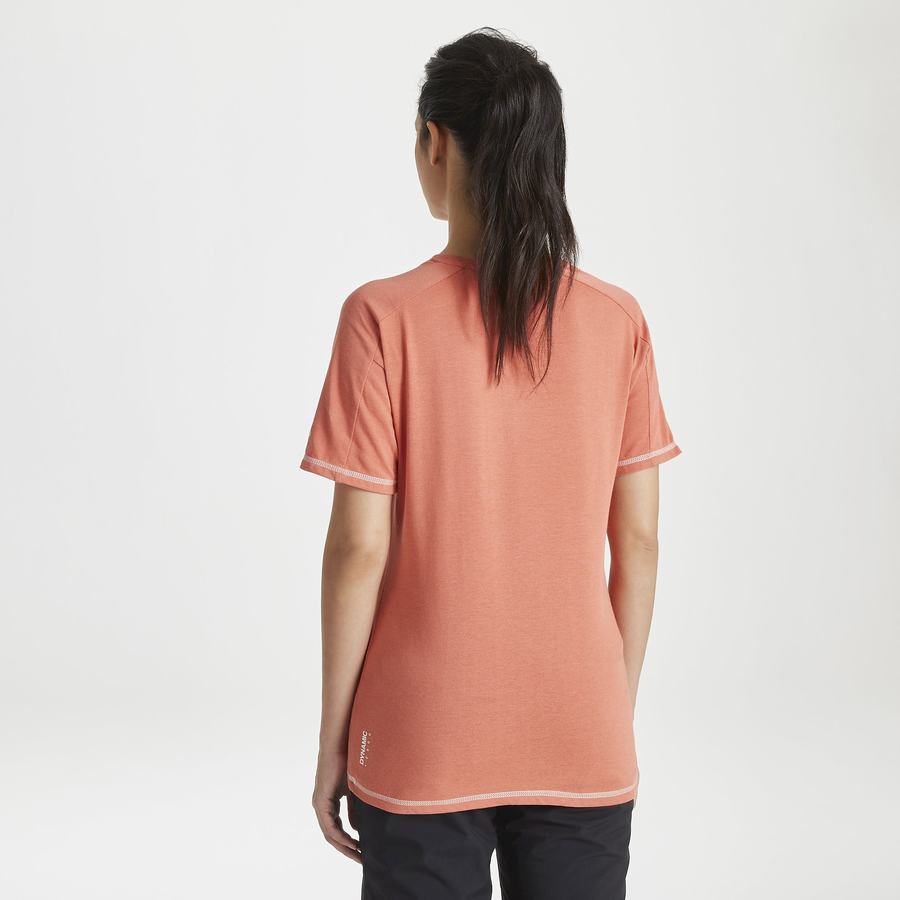 Orange Craghoppers Dynamic Short Sleeved Warm Ginger Women's T-Shirts | DUD7649NM