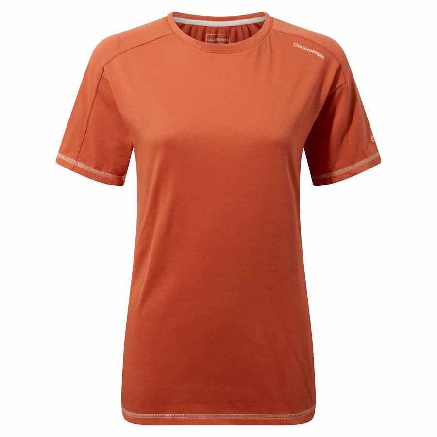 Orange Craghoppers Dynamic Short Sleeved Warm Ginger Women's T-Shirts | DUD7649NM