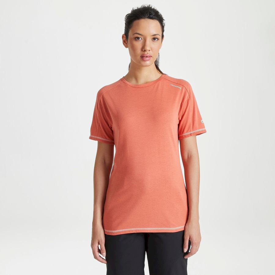 Orange Craghoppers Dynamic Short Sleeved Warm Ginger Women's T-Shirts | DUD7649NM