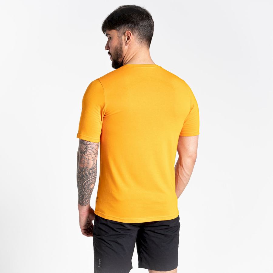 Orange Craghoppers Dynamic Short Sleeved Men's T-Shirts | EJC4171WJ