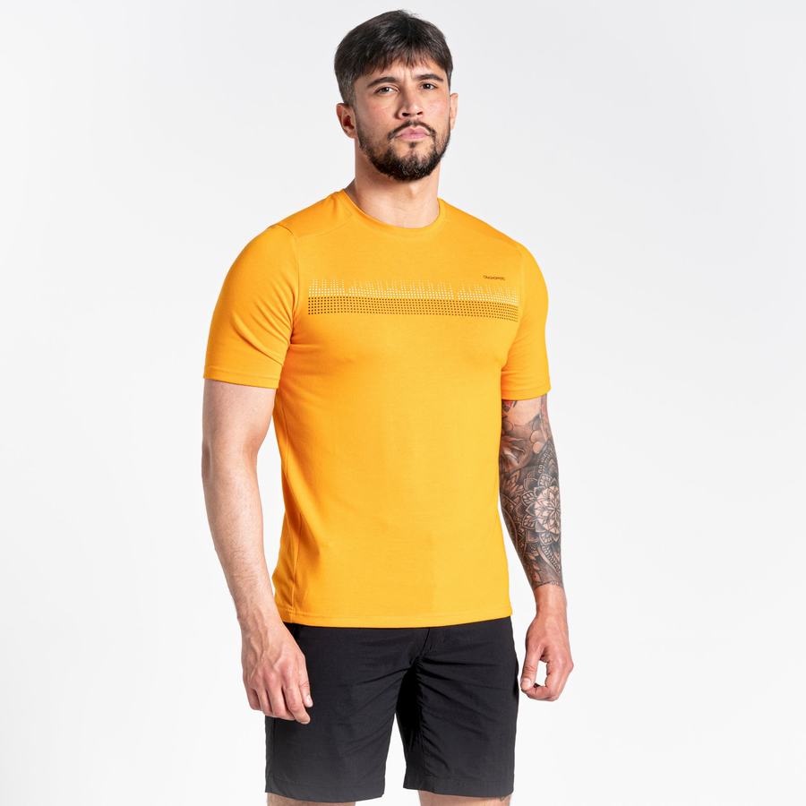 Orange Craghoppers Dynamic Short Sleeved Men's T-Shirts | EJC4171WJ